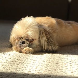 Meet your Posher, Gigi